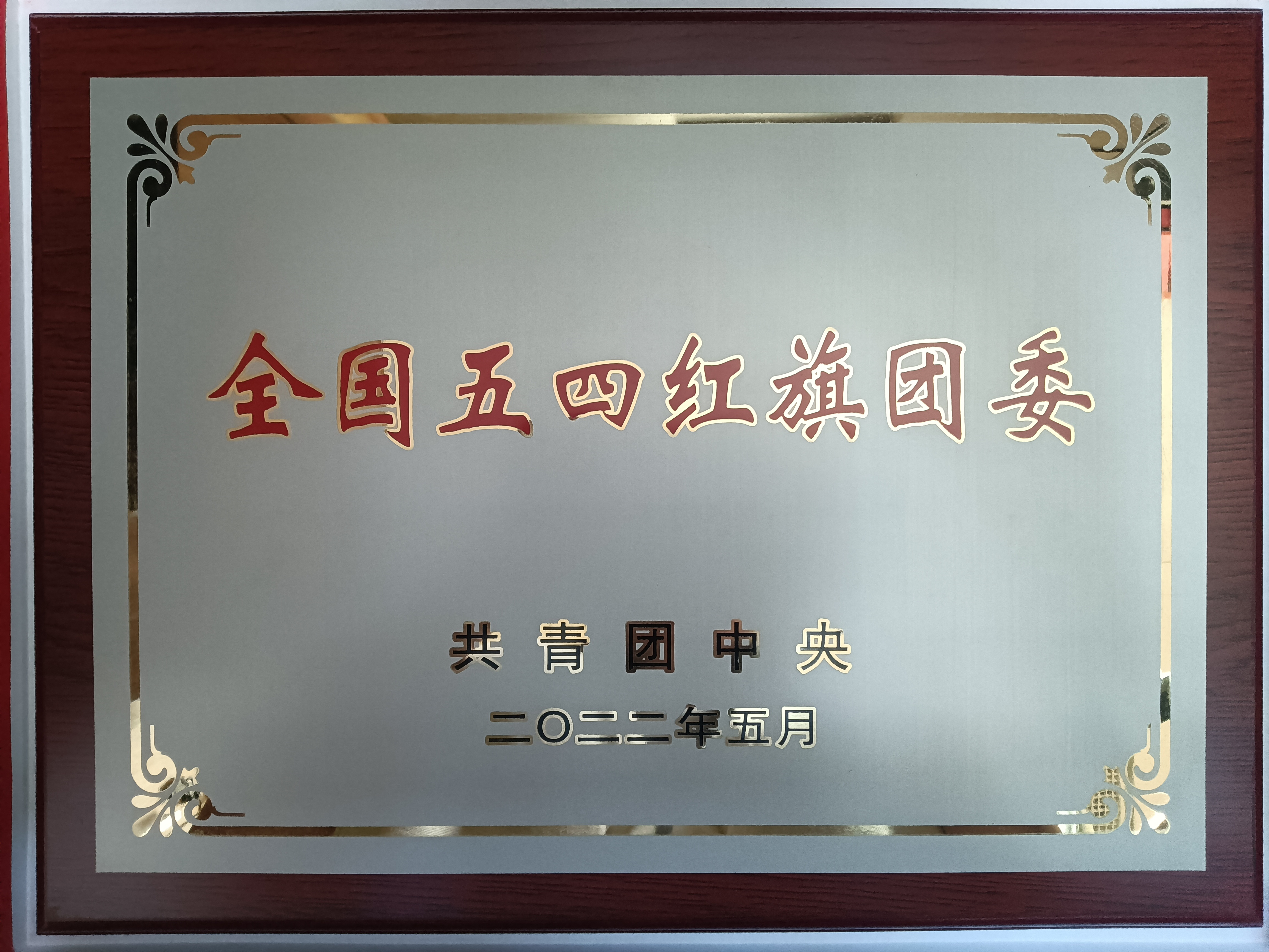 青春當燃！2022，有研青年這樣走過