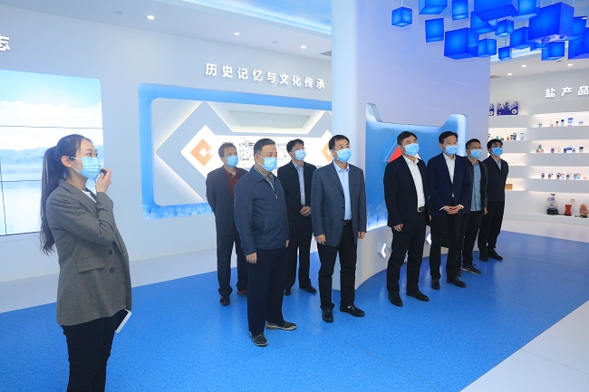 有研集團黨委書記、董事長趙曉晨到中鹽集團調研交流