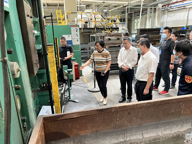 有研集團黨委委員、副總經(jīng)理王臣赴有研億金開展安全檢查工作