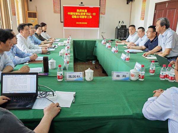 中國(guó)有研紀(jì)委調(diào)研組赴重慶開展政治監(jiān)督調(diào)研