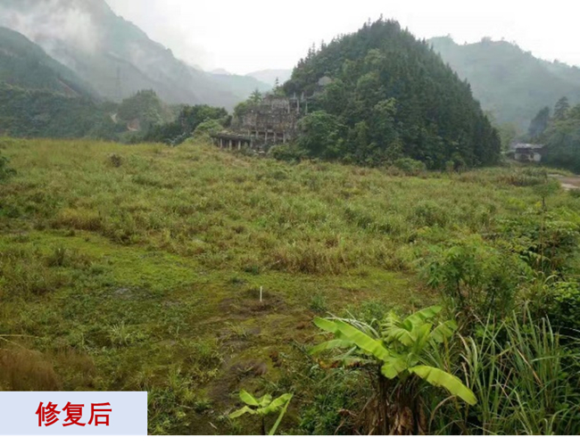 主題教育進(jìn)行時(shí) | “學(xué)思想、強(qiáng)黨性、重實(shí)踐、建新功”有研故事系列展播（十一）打造重金屬污染治理和生態(tài)環(huán)保的有研力量