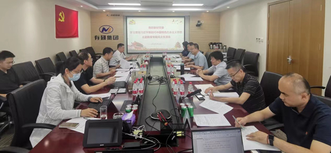 中國有研領(lǐng)導(dǎo)班子指導(dǎo)基層黨組織主題教育專題民主（組織）生活會