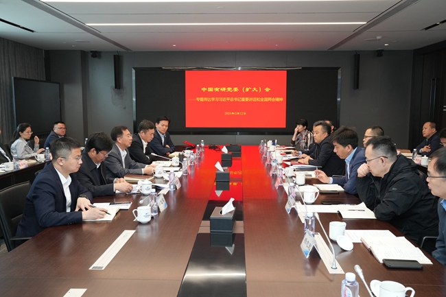 中國有研黨委傳達(dá)學(xué)習(xí)貫徹習(xí)近平總書記重要講話和全國兩會精神
