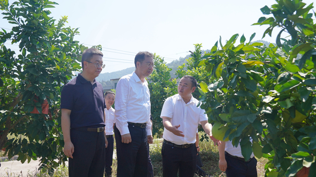 中國有研黨委書記、董事長趙曉晨赴貴州思南調(diào)研集團定點幫扶工作